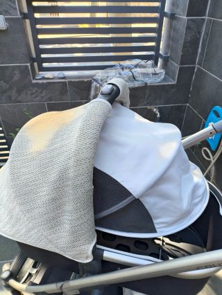 Capazo + Silla Paseo Uppababy Cruz V2