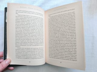 La extranjera - Rafael Pérez Estrada