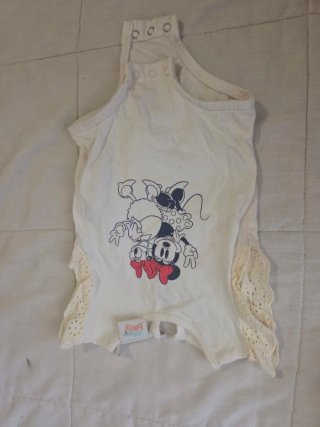Conjunto bebé niña 0-3 meses Disney