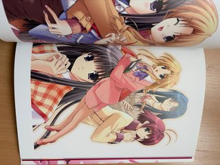 Chronicle artbook