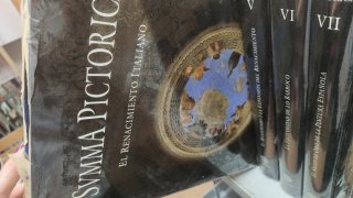 10 tomos Summa Pictorica. Historia Pintura