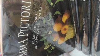 10 tomos Summa Pictorica. Historia Pintura