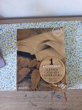 Llengua catalana i literatura 1.