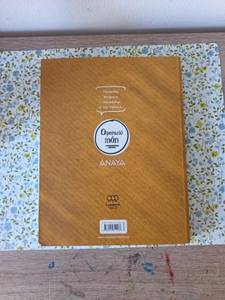 Llengua catalana i literatura 1.