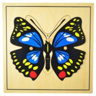 Pack 6 Puzzles montessori botánica (insectos)