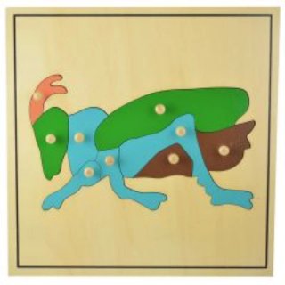 Pack 6 Puzzles montessori botánica (insectos)