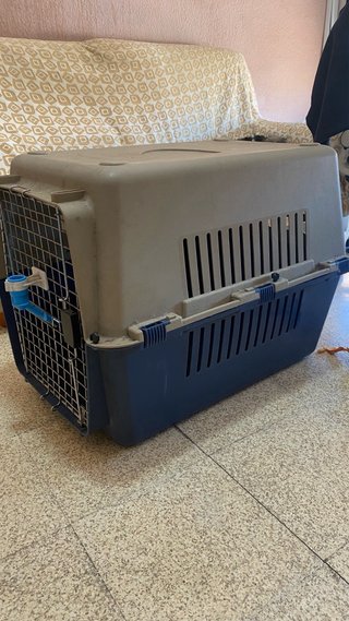 Transportín Perro/Gato Grande ideal para viajar