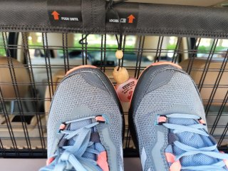 Adidas terrex