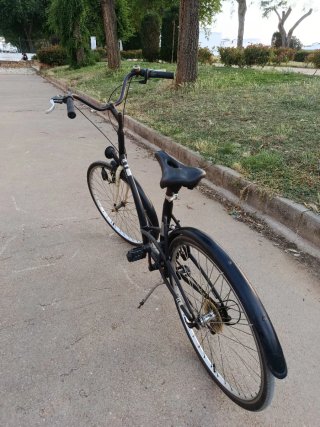 Bicicleta de paseo