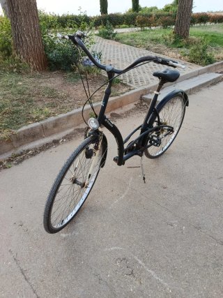 Bicicleta de paseo