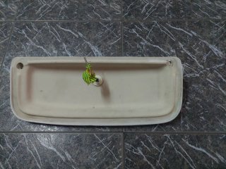 Tapa Cisterna WC Valladares Blanca