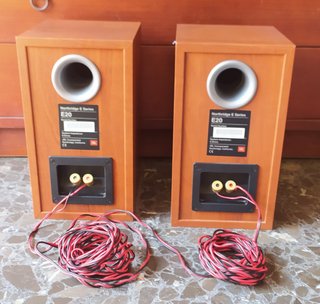 2 Altavoces JBL Northbridge E20