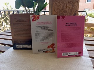 Lote/ Pack 3 libros Pablo Rivero y Javier Castillo