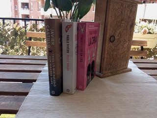 Lote/ Pack 3 libros Pablo Rivero y Javier Castillo