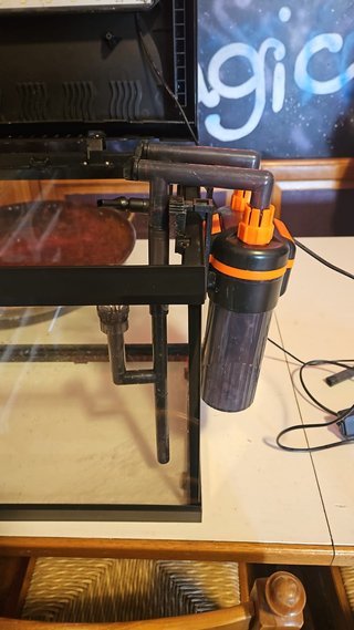 Filtro per acquario