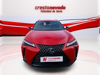 Lexus UX 2.0 250h Business City