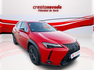 Lexus UX 2.0 250h Business City