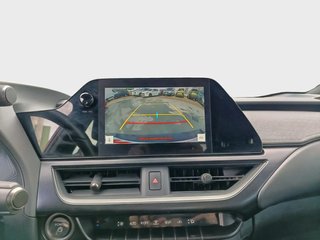 Lexus UX 2.0 250h Business City