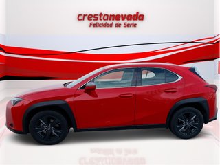 Lexus UX 2.0 250h Business City