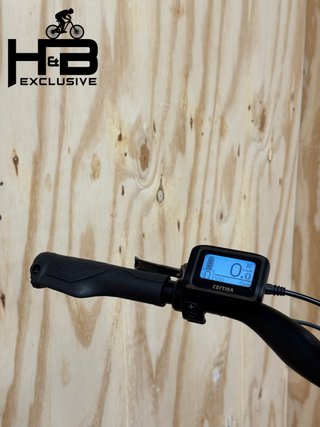 VanDijck Ceto Shimano Nexus 2021