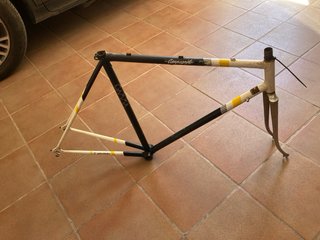 Cuadro BH Campagnolo gamma Vintage