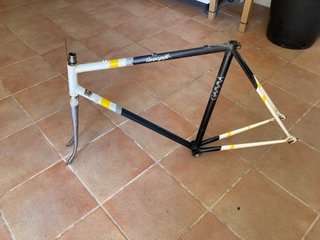 Cuadro BH Campagnolo gamma Vintage