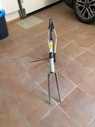 Cuadro BH Campagnolo gamma Vintage