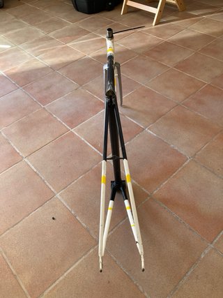 Cuadro BH Campagnolo gamma Vintage