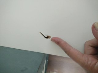 Escritorio blanco Ikea