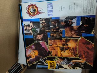 Guns N' Roses Use Your Illusion II LP Doble
