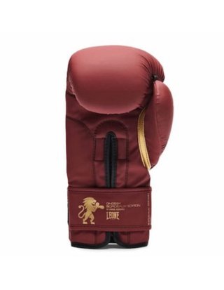 Guantes Boxeo Leone 1947 10oz Nuevos