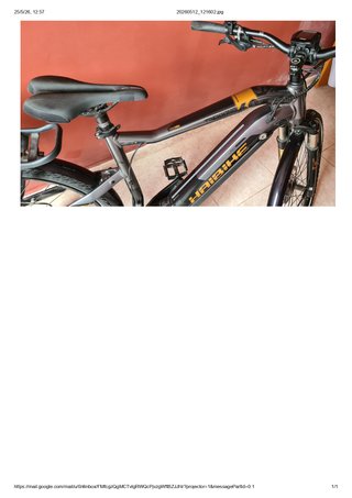 Bicicleta eléctrica Haibike Trekking 6.0
