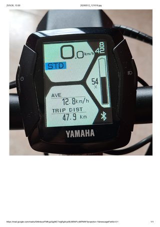 Bicicleta eléctrica Haibike Trekking 6.0