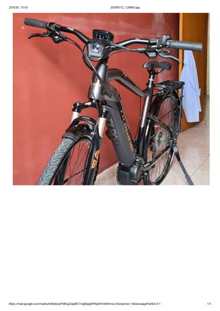 Bicicleta eléctrica Haibike Trekking 6.0