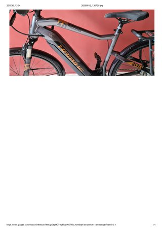 Bicicleta eléctrica Haibike Trekking 6.0