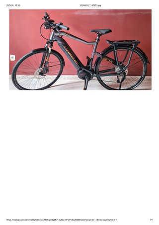 Bicicleta eléctrica Haibike Trekking 6.0