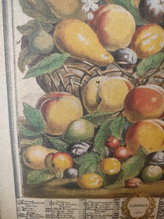Cuadro Vintage Frutas Cesta