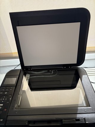 Impresora Canon Pixma MG4250 Wi-Fi CON TINTA