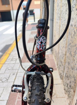 Bicicleta Razesa Montaña Vintage