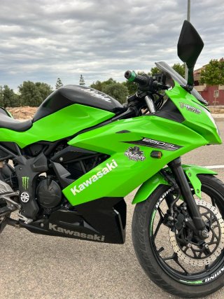 Kawasaki Ninja 250 SL sportbike