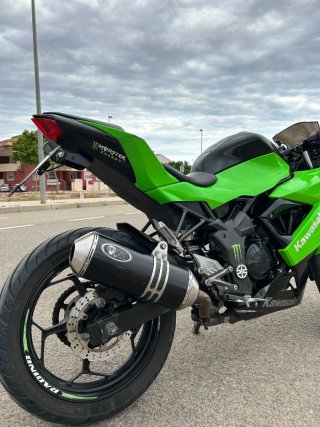 Kawasaki Ninja 250 SL sportbike