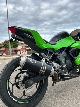 Kawasaki Ninja 250 SL sportbike