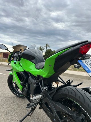 Kawasaki Ninja 250 SL sportbike
