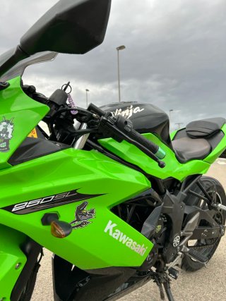 Kawasaki Ninja 250 SL sportbike