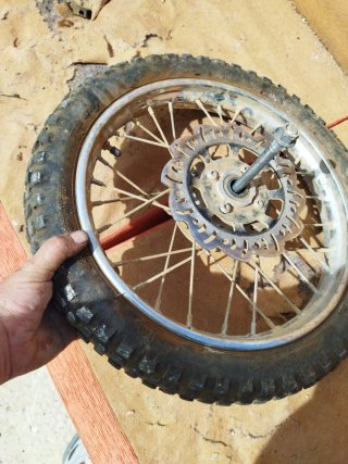 Rueda pit bike delantera 14