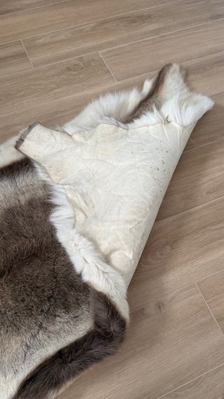 Pelle di renna autentica XL - Nuova. Tappeto