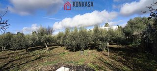 Casa rural en venta en Villamartín