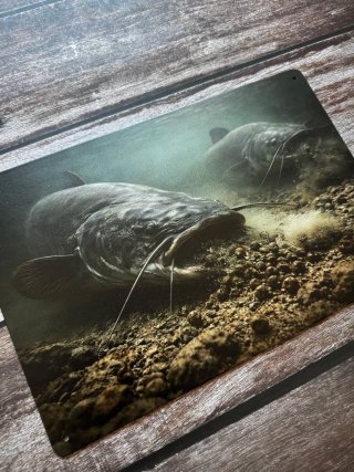 CARTEL PLACA METALICA PESCA SILUROS BAJO EL AGUA