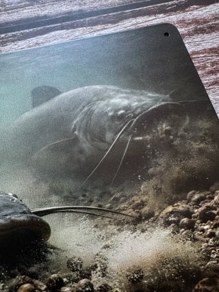 CARTEL PLACA METALICA PESCA SILUROS BAJO EL AGUA