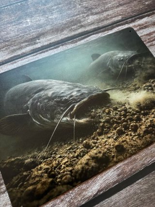 CARTEL PLACA METALICA PESCA SILUROS BAJO EL AGUA